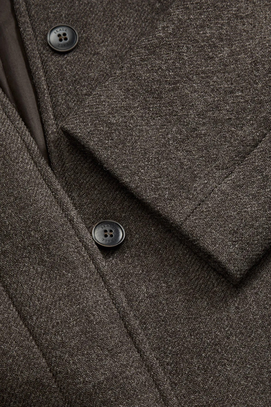 Mary Coat Mole