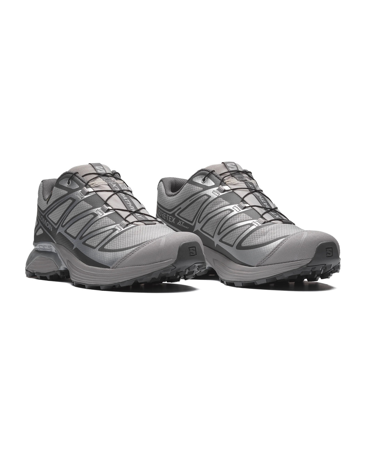 XT-Pathway GTX - Alloy/Ftw Silver/Castlerock